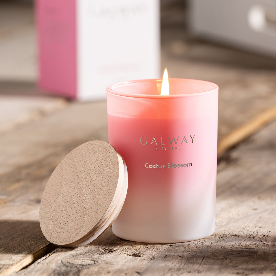 Galway Living Cactus Blossom Candle