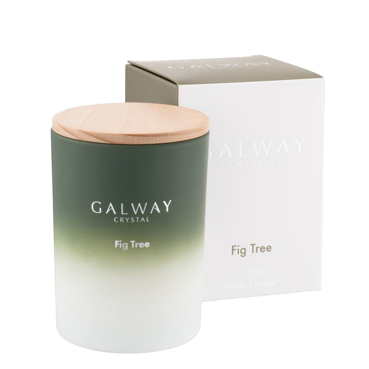 Galway Crystal Fig Tree Candle