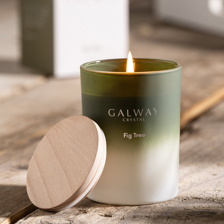 Galway Crystal Fig Tree Candle