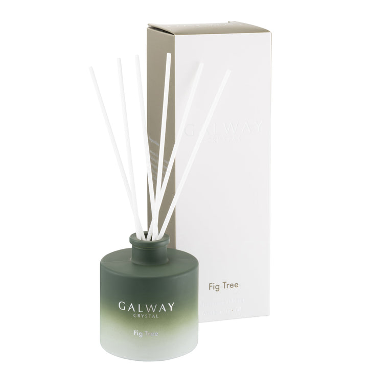 Galway Crystal Fig Tree Diffuser