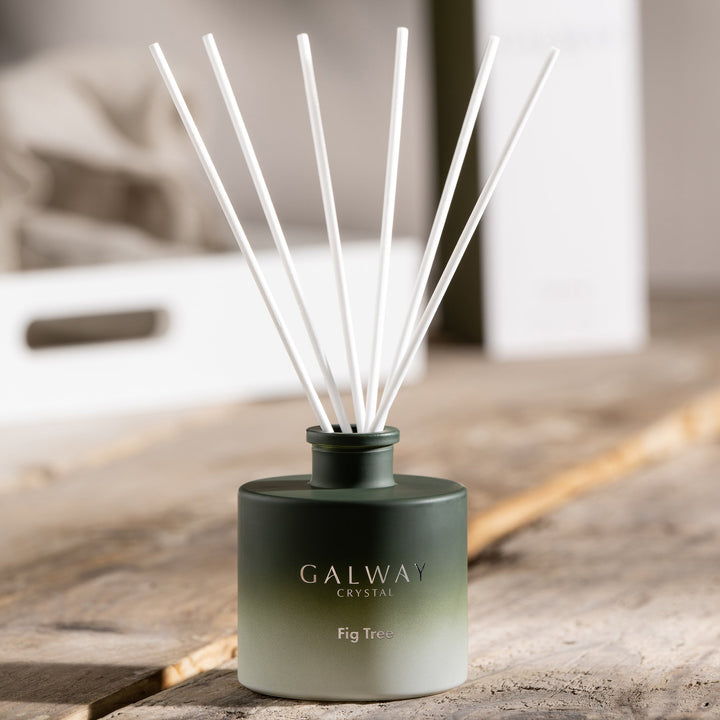 Galway Crystal Fig Tree Diffuser